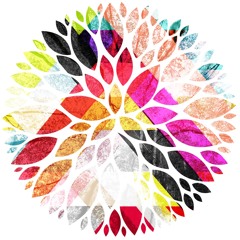 Jolema und Castor Pollux