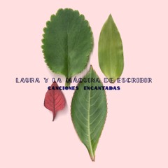 lauraylamaquinadeescribir