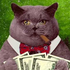 MadCatPoker