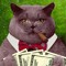 MadCatPoker