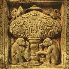 California National Primate Research Center