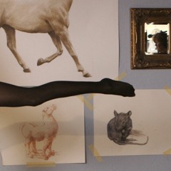 mark degli antoni_film composer_soul coughing