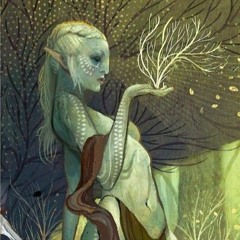 Muiri