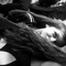 User 480093048
