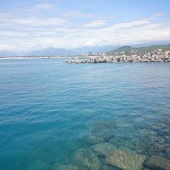 back number - 思い出せなくなるその日まで cover