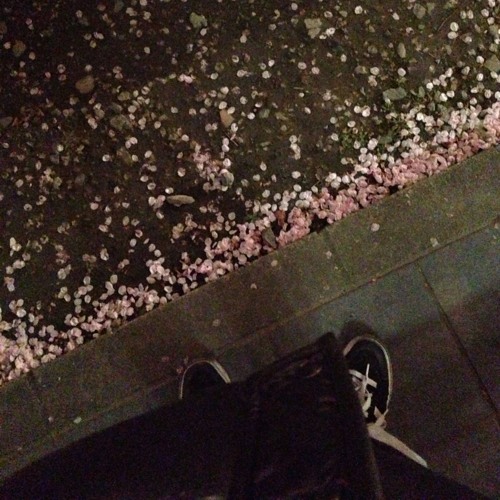 Stream フジファブリック 花 カバー By Uhey Listen Online For Free On Soundcloud Stream フジファブリック 花 カバー By Uhey Listen Online For Free On Soundcloud