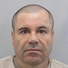 FREE EL CHAPO