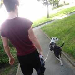 Sascha Manuel Cermak