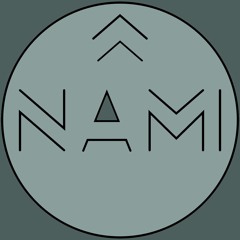 NAMI-B