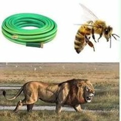 Jesus Muhammad Cross