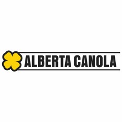 Alberta Canola