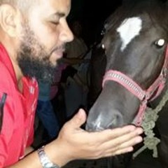 اسامة ابو حجي