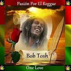 Bob Tosh