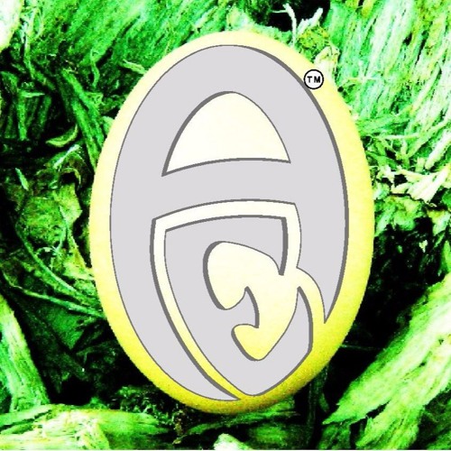 Angel's Egg’s avatar