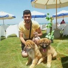 El Mahdy
