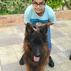 yassine