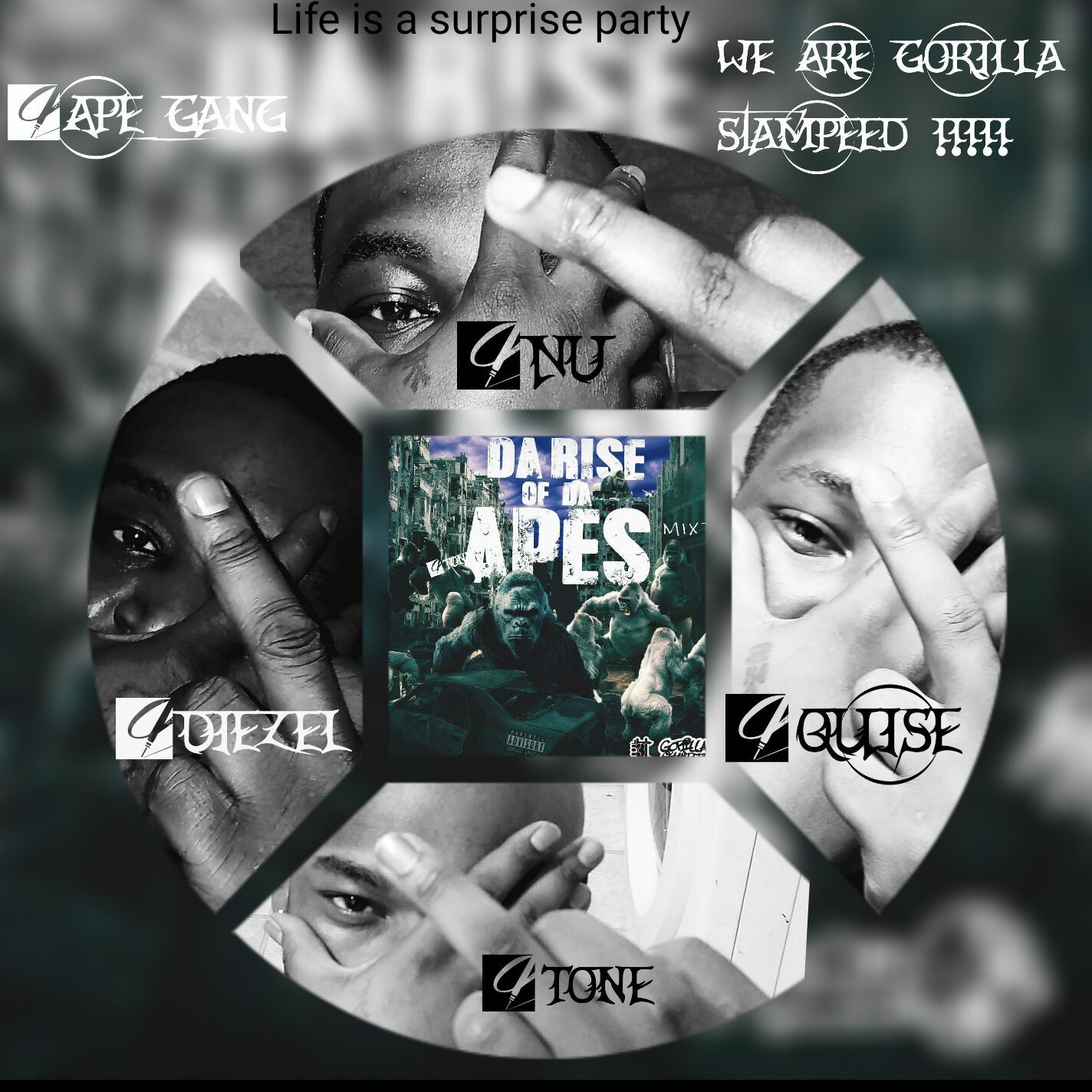 We Are Gorilla Stampeed