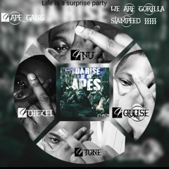 We Are Gorilla Stampeed