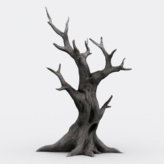 Above The Fraction Bar