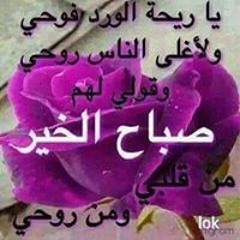 علياء وكريم الصاوي