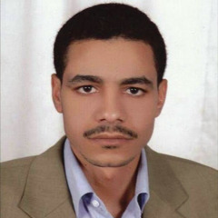 Mohamed Elwakeel