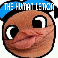 thehumanlemon