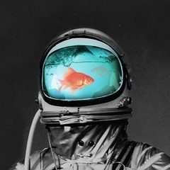 Astronautical