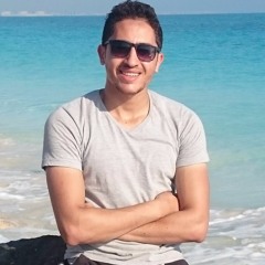 tarek elshinnawy