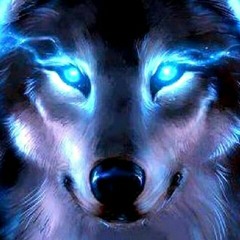 CraZy_ DoGe_