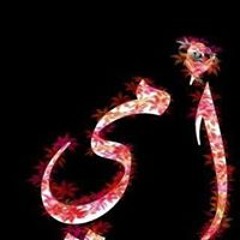 رانيا صلاح