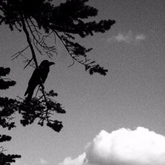 VivienneDevonCarmichael2