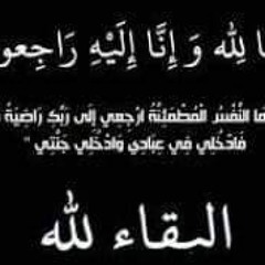 Mohamed Shawky