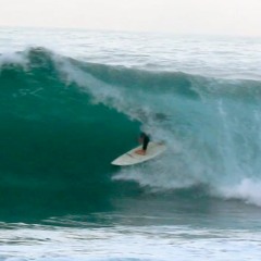 Max Delgado