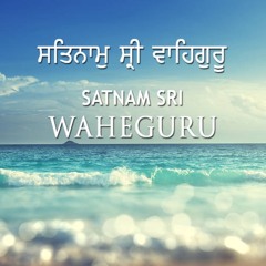 M Singh