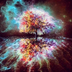 ▲/ƱNK3ŁMVG1C/▲