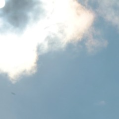 Вадим Городов