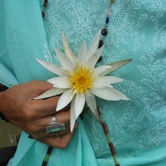 Anil 2