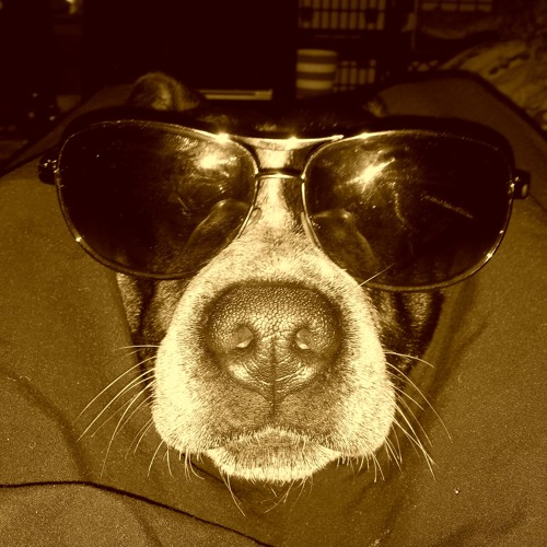 SoundCloud profile picture for @studs