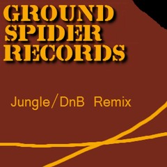Groundspider Records