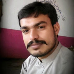 naveed Channa