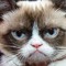 grumpycatgirl 224