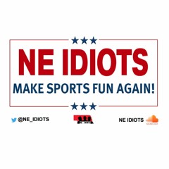 NE IDIOTS