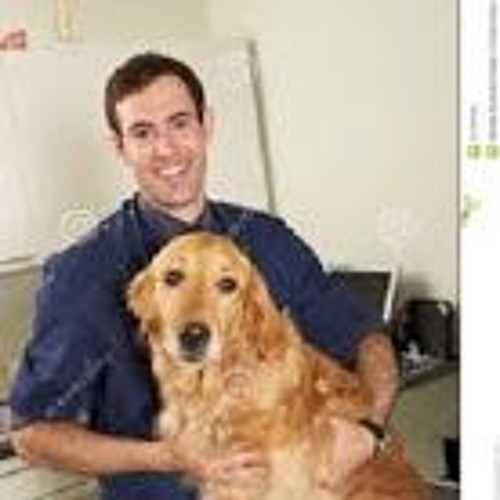 Vancouver Animal Hospital’s avatar