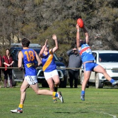 Bradley Hocking