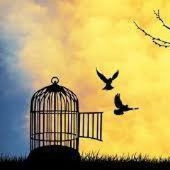 سمر نصرالدين