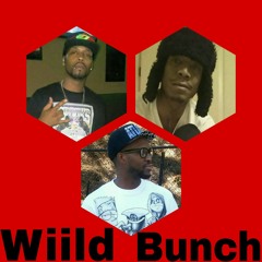 Wiild Bunch