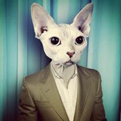Pat da Cat