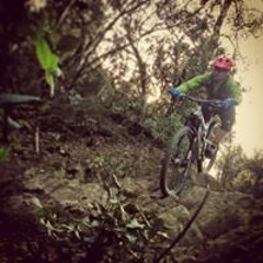 Vicenç Ribas Moranta