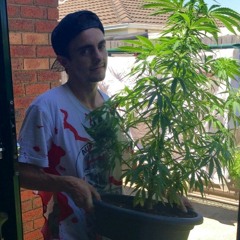 matthewd42091