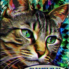 n u k e